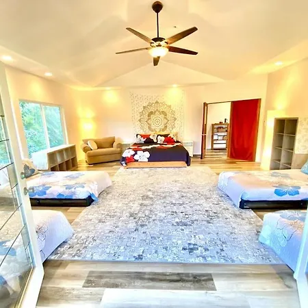 The Honomu House - Gorgeous, Spacious 4Bd2Ba Home Near Waterfalls And Hilo, Sleeps 12!